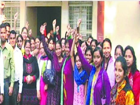  Biio office roared guest teachers